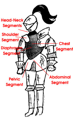 The Armor Segments by Emilio Perotti